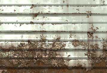 Protecting Your Steel Garage Door from Rust | Garage Door Repair Bee Cave, TX