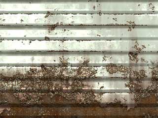 Protecting Steel Garage Door from Rust | Garage Door Repair Bee Cave, TX